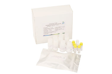 CE Diff Quik Stain Kit / Anti Mullerian Hormone Elisa Kit For Female Fertility Diagnosis