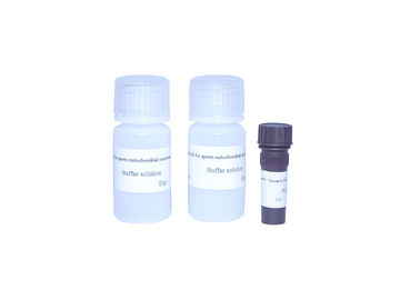 International JC-1 Probe Sperm Mitochondria Staining Kit
